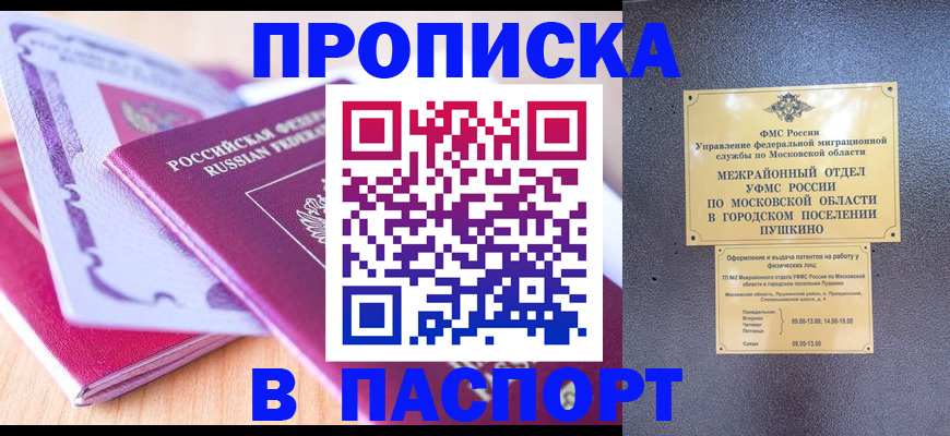 прописка законно в Волоколамске